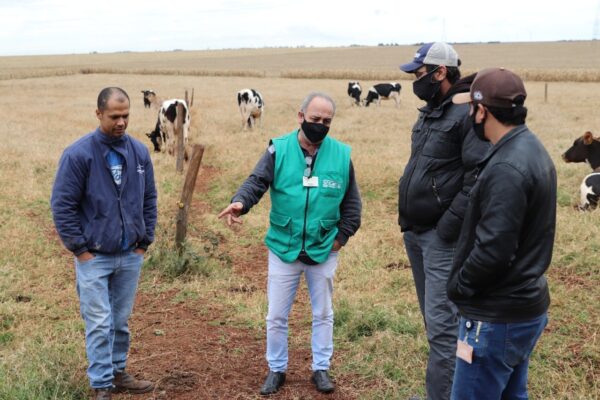 Guaíra - Curso aos produtores de bovino de leite é promovido • Portal Guaíra