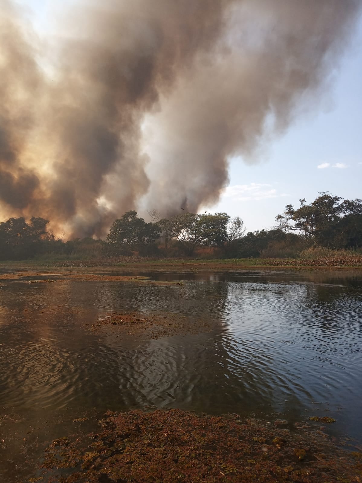 Guaíra - Município divulga imagens do grande incêndio que atinge a Ilha Grande • Portal Guaíra