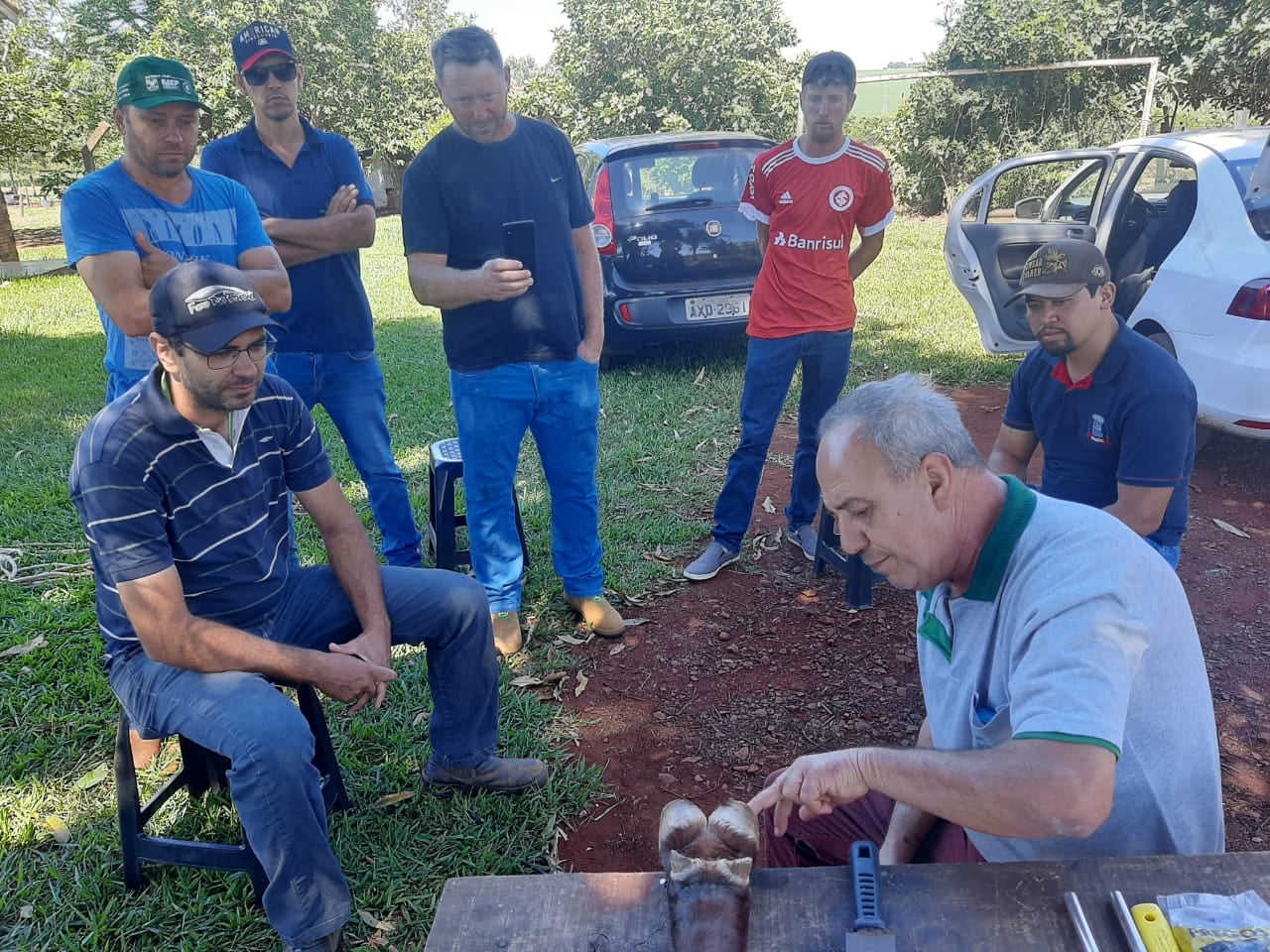 Destaque - Curso de Casqueamento de Bovino Leiteiro é realizado em Guaíra • Portal Guaíra