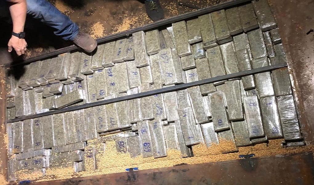 Paraná - 219 toneladas de drogas foram apreendidas nos primeiros nove meses do ano • Portal Guaíra